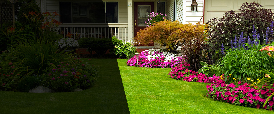Brookline Landscapers